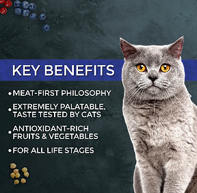 Market Fresh Tuna Recipe Dry Cat Food 10 lb