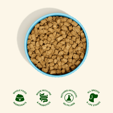 Chicken Recipe Freeze-Dried Raw Dog Food 16 oz