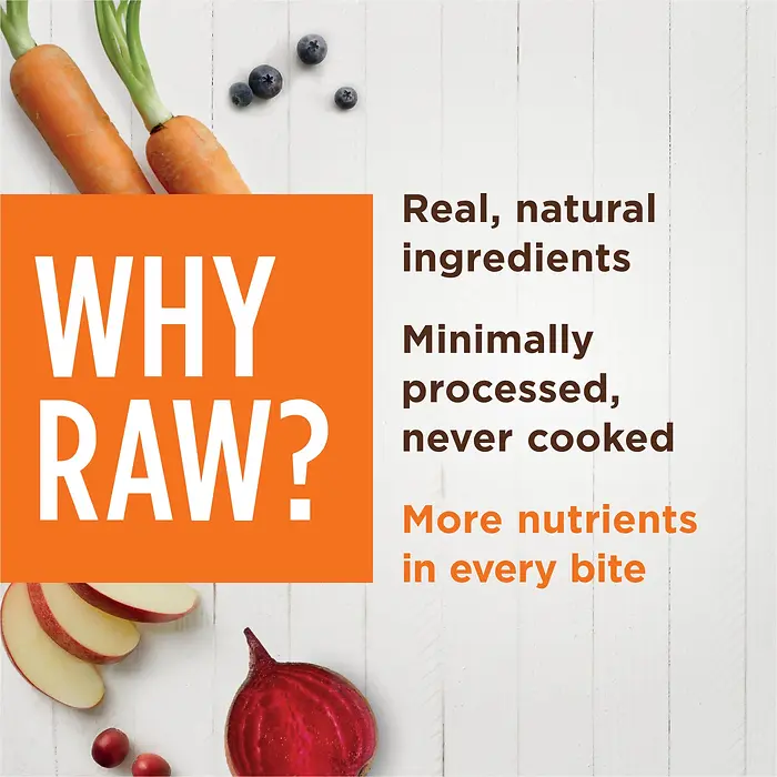 Raw Boost Mixers Gut Health Freeze-Dried Dog Food Topper 12.5 oz
