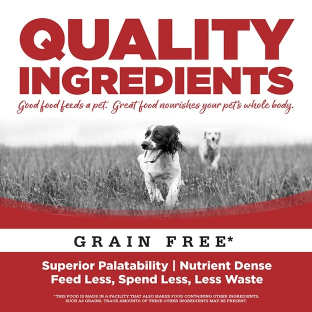 Limited Ingredient Beef Entrée Canned Dog Food 12.3 oz