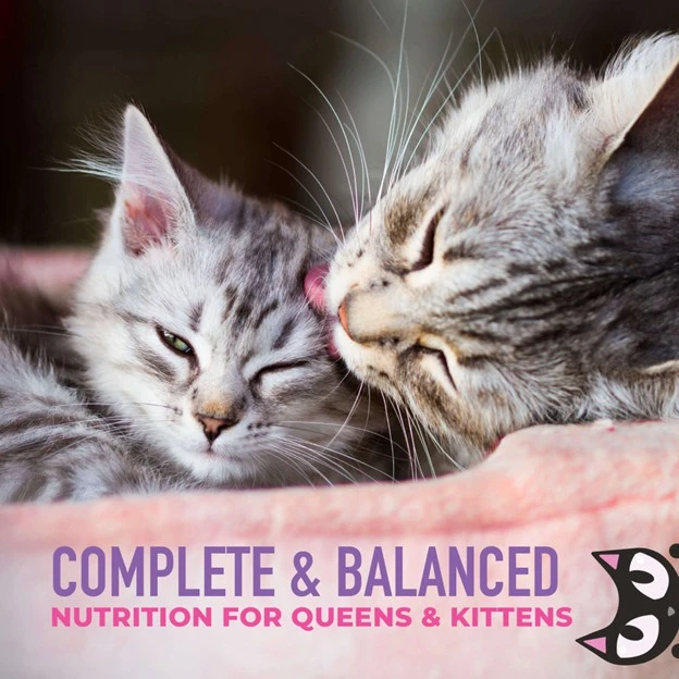 Tiki Cat Baby Weaning Purée Chicken & Chicken Liver Recipe in Broth for Kittens 6 oz