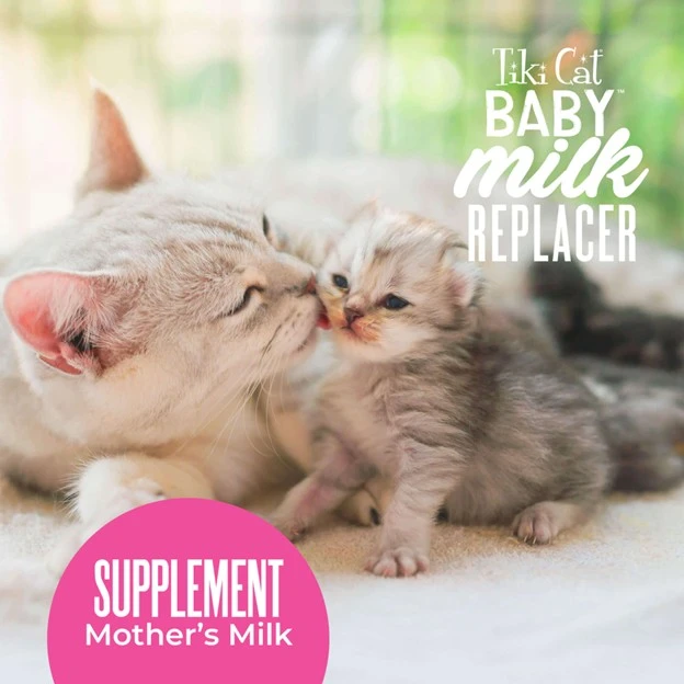 Tiki Cat Baby Milk Replacer with Goat’s Milk for Kittens 6 oz