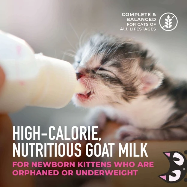 Tiki Cat Baby Milk Replacer with Goat’s Milk for Kittens 6 oz