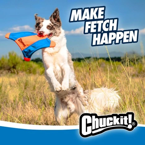 Flying Squirrel Dog Fetch Toy Dog Orange/Blue Small