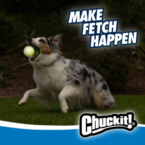 Max Glow Ball Fetch for Dogs Large