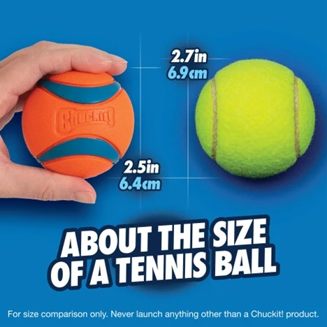 Ultra Ball Dog Toy Medium 2-Pack