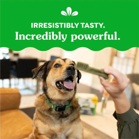 Natural Dog Dental Care Chews Oral Health Dog Treats Original Large 27 oz | 17 Pack