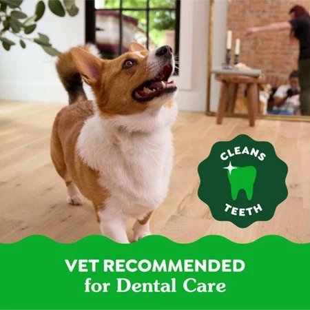 Dental Treats Original Petite 15-25 lb Dog | 45 Pack
