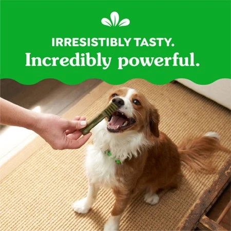 Dental Treats Original Petite 15-25 lb Dog | 45 Pack