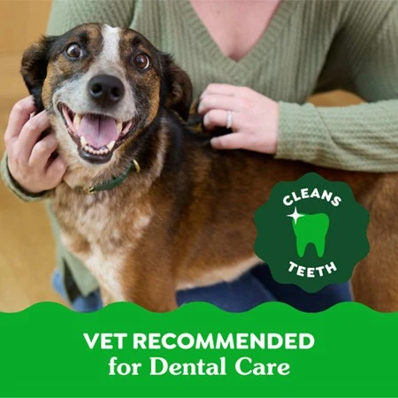Natural Dog Dental Care Chews Oral Health Dog Treats Original Regular 12 oz | 12 Pack