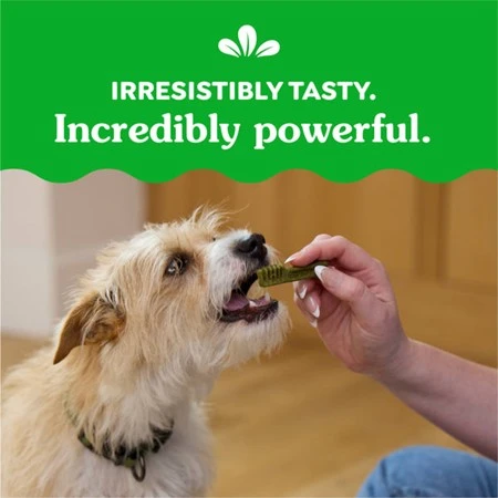 Natural Dog Dental Care Chews Oral Health Dog Treats Original Teenie 12 oz | 43 Pack