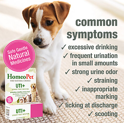 UTI+ Urinary Tract Infection Natural Homeopathic Remedy for Pets 15 ml