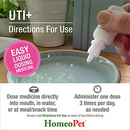 UTI+ Urinary Tract Infection Natural Homeopathic Remedy for Pets 15 ml