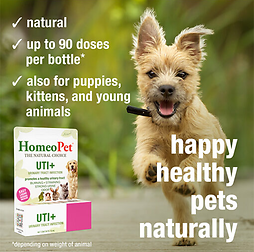 UTI+ Urinary Tract Infection Natural Homeopathic Remedy for Pets 15 ml