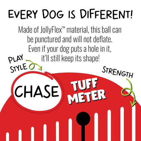 Jolly Soccer Ball Dog Toy Green Large 8"