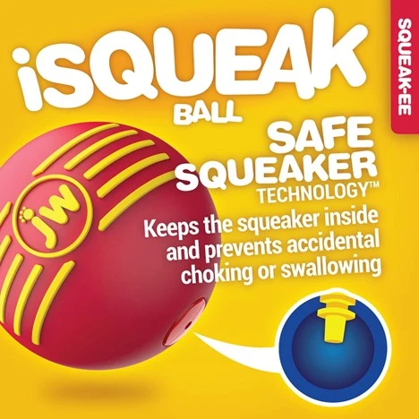 iSqueak Ball Dog Toy Assorted Medium