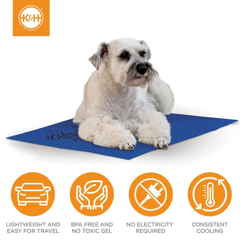 Coolin' Pet Pad Blue Medium