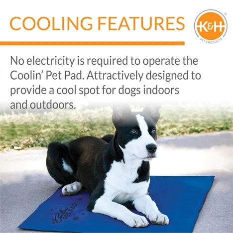 Coolin' Pet Pad Blue Medium