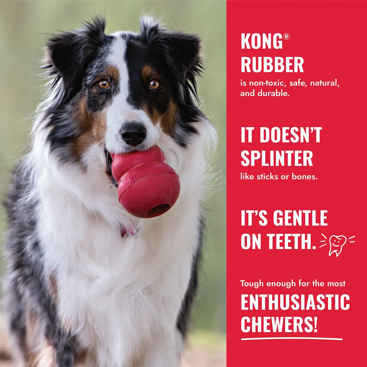 Classic Dog Toy Red Medium