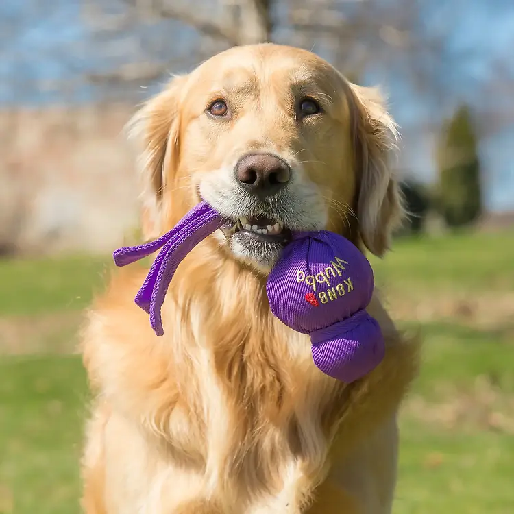 Wubba Classic Dog Toy Assorted Large