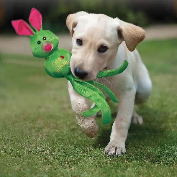 Wubba Friends Ballistic Dog Toy Assorted Characters/Colors X-Large