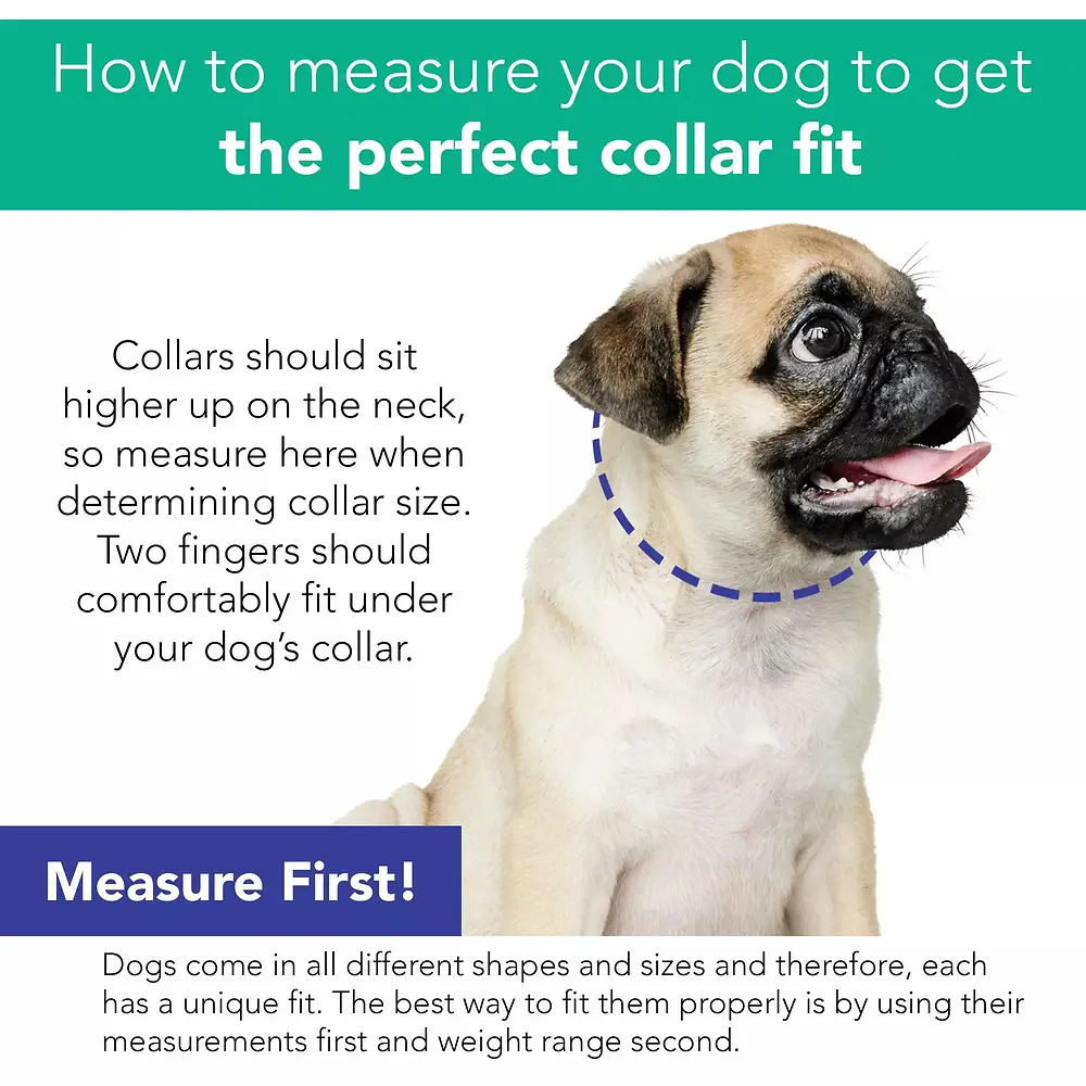 Dog Collar Red & Grey Plaid Petite X-Small 3/8" x 6"-8"