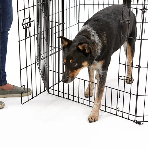 Contour Exercise Pen with Door Black Medium 36"