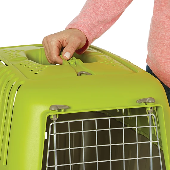 Spree Pet Carrier Plastic with Wire Door Green 19"