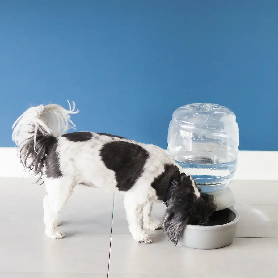 Replendish Pet Waterer with Microban Pearl Silver Gray .5 gal