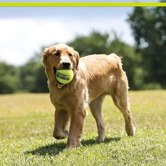 Tuff Ball Giant Dog Toy 4"