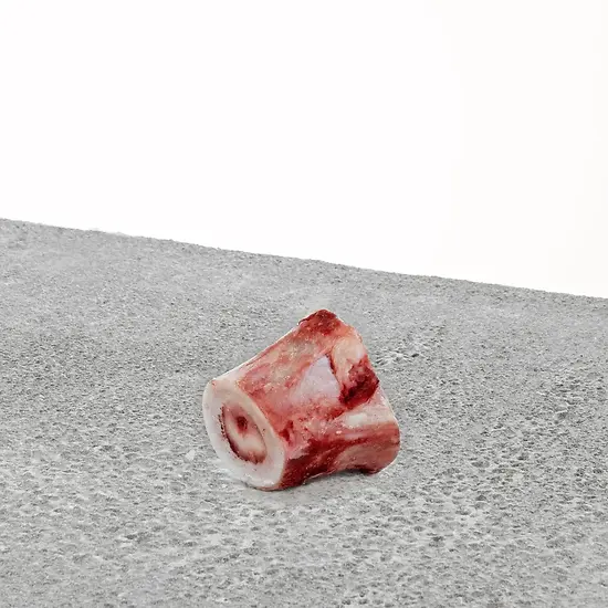 Beef Marrow Raw Recreational Dog Bone Medium