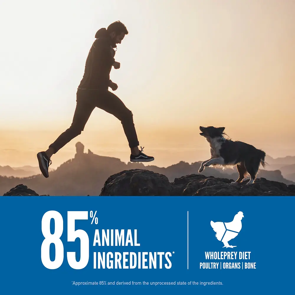Original Dry Dog Food 4.5 lb