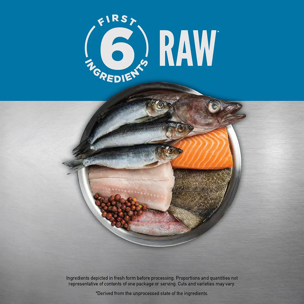 Six Fish Recipe Dry Dog Food 4.5 lb