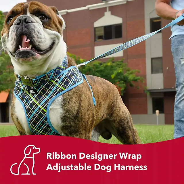 Designer Wrap Adjustable Dog Harness Lime Southwest Stars Medium 3/4" x 22"-28" | 19-50 lb