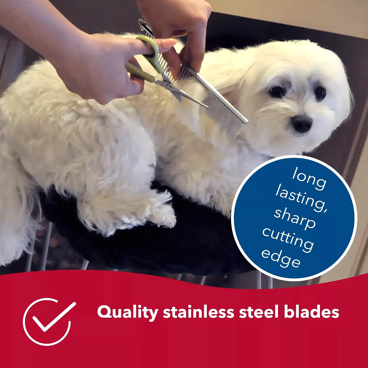 Safety Scissors for Dog Grooming