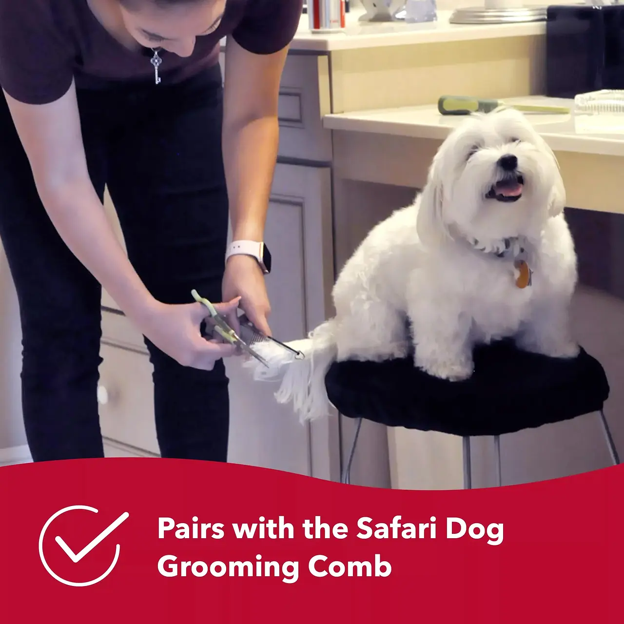 Safety Scissors for Dog Grooming