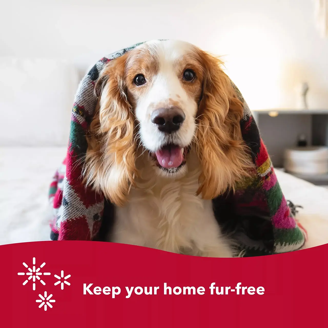 Soft Slicker Brush for Large Dogs