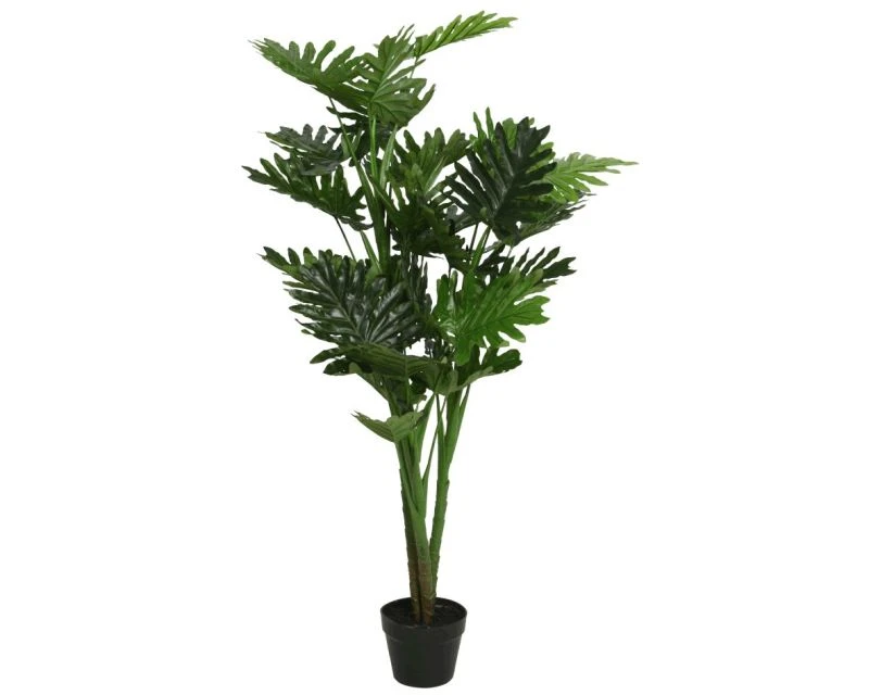 PHILODENDRON IN POT - POLY