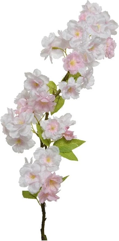 BLOSSOM POLYESTER