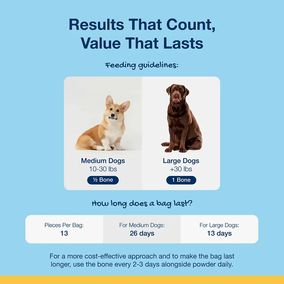 Dental Care Bones for Dogs - Bacon Flavor 17 oz