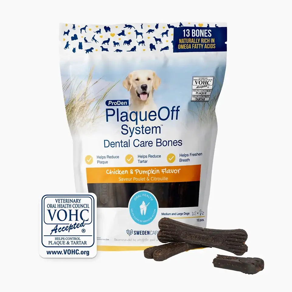 Dental Care Bones for Dogs - Chicken & Pumpkin 17 oz