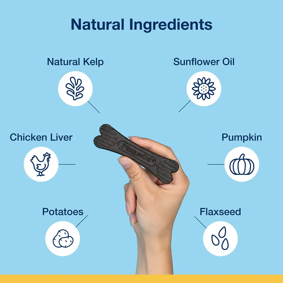 Dental Care Bones for Dogs - Chicken & Pumpkin 17 oz