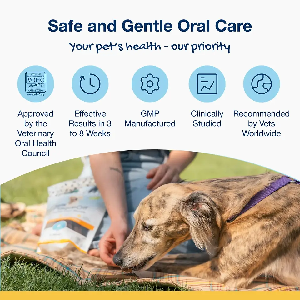 Dental Care Bones for Dogs - Chicken & Pumpkin 17 oz