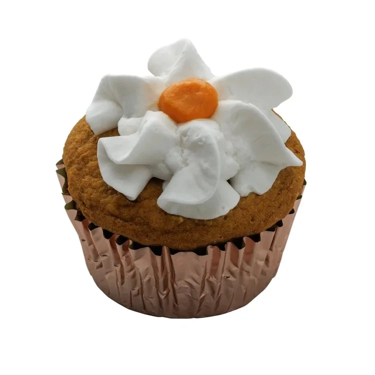 Pumpkin Pupcake Frozen Dog Treat 2.5 oz