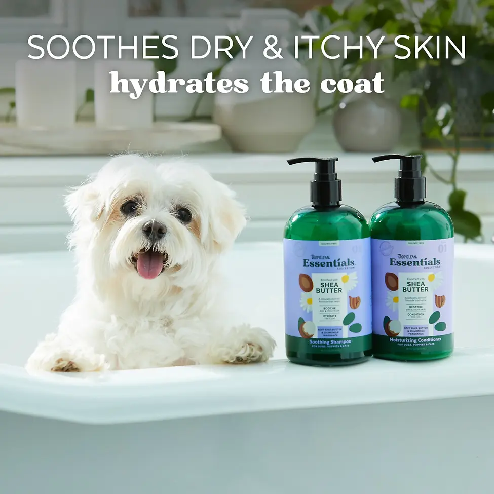 Essentials Collection Enriched with Shea Butter Soothing Shampoo for Dogs, Puppies & Cats Shea Butter & Chamomile 16 oz