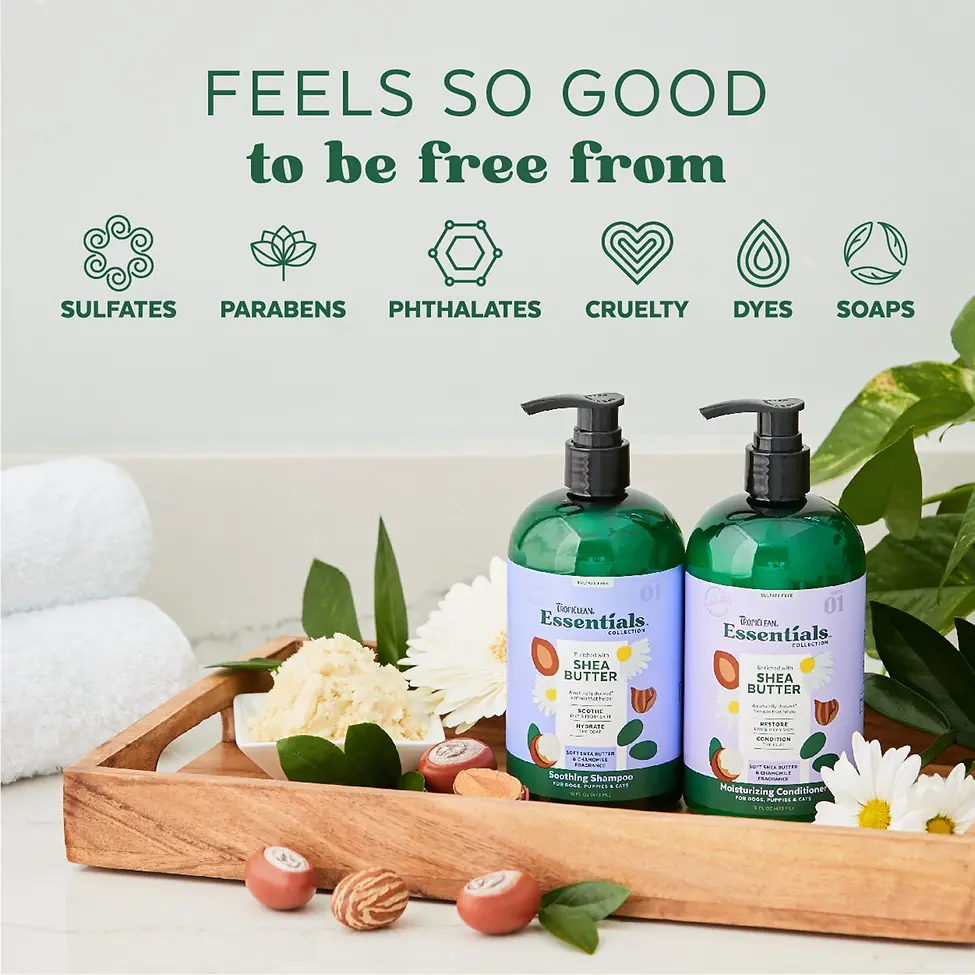 Essentials Collection Enriched with Shea Butter Soothing Shampoo for Dogs, Puppies & Cats Shea Butter & Chamomile 16 oz