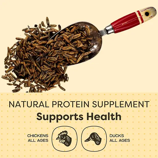 Grubs Poultry Treats for Chickens, Ducks & Pets 3.5 lb