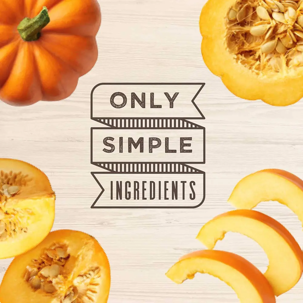 Grain Free Biscuits with Pumpkin Crunchy Treats for Dogs 14 oz