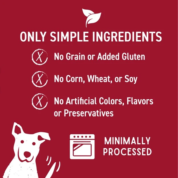 Grain Free Biscuits with Pumpkin Crunchy Treats for Dogs 14 oz