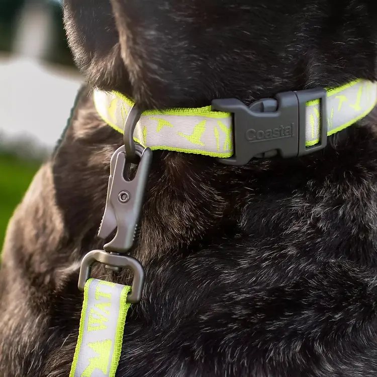 Adjustable Reflective Dog Collar Lime Medium 1" x 14-20"